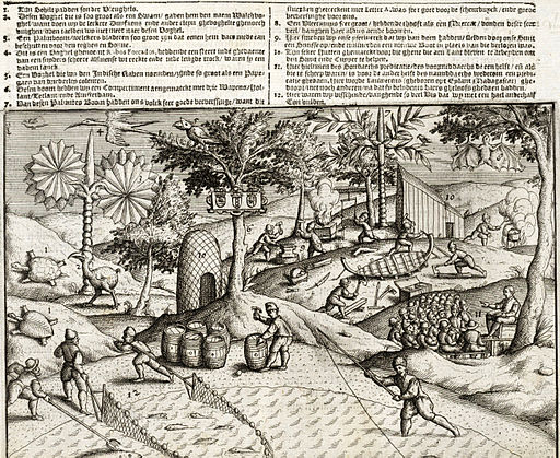 https://upload.wikimedia.org/wikipedia/commons/thumb/4/46/View_of_the_Mauritius_roadstead_-_engraving.jpg/512px-View_of_the_Mauritius_roadstead_-_engraving.jpg